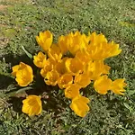 ヴィラ La Capanna Dello Scrittore *
